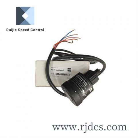 Bitzer 34794901 Oil Level Controller, Control Module