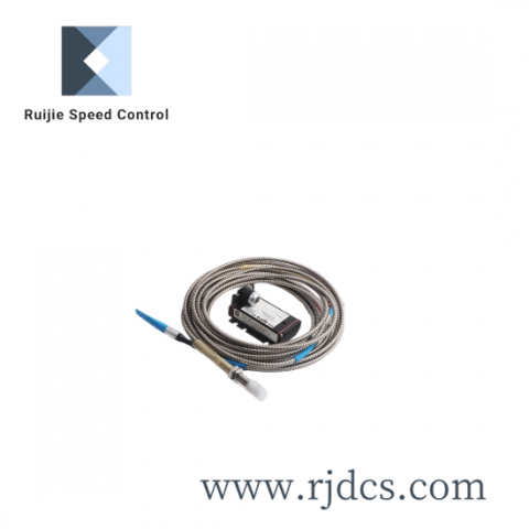 RAYCHEM EMDR Detection Module for Industrial Control Systems, Model XYZ123, Submodel A1, High Precision