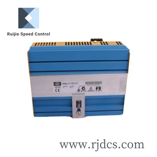 hima_himatrix_f31_sps_d0171_advanced_safety_control_module_1.jpg HIMA B5233-2 Safety Relay Module