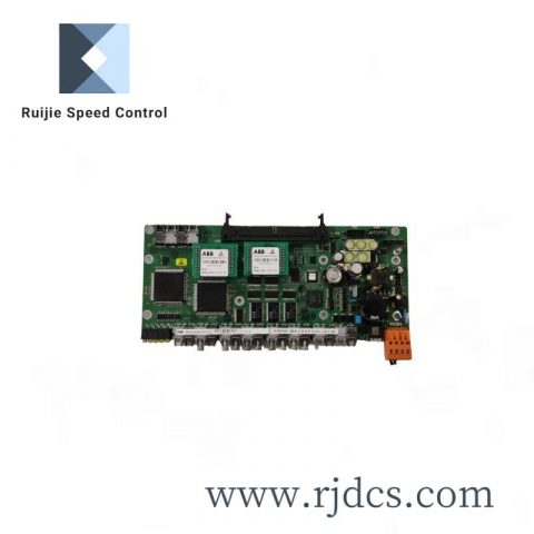 ABB RAPI-01C Controller Module