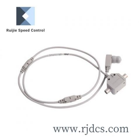 Omron RB2C 225/088 Industrial Control Module