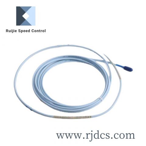 Brand C2 U1Z R 600.8116.013 Control Module