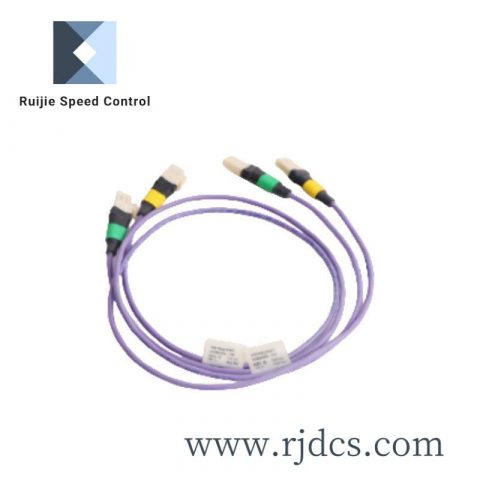 HONEYWELL 6580100019 Control Module for Industrial Automation Systems