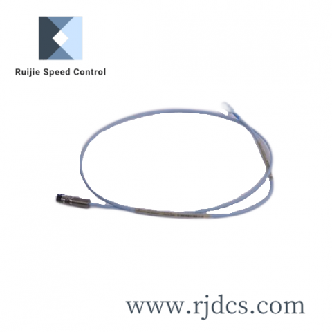 Bently Nevada 300103-A00 Advanced Control Module for Industrial Automation