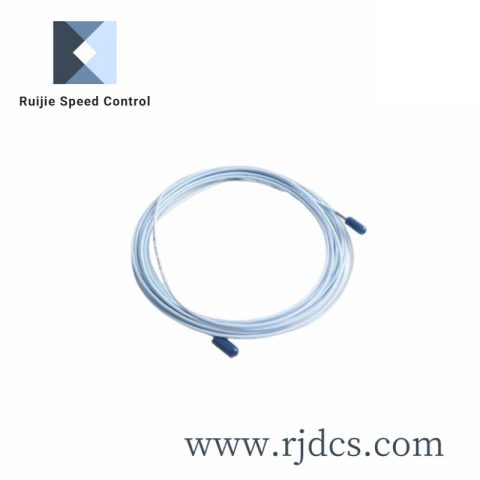 BENTLY NEVADA 330930-065-03-05 Industrial Module, Up to 30 kHz Output Frequency