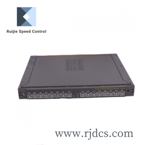 Bosch Rexroth R911290439 High-Efficiency Servo Drive Module