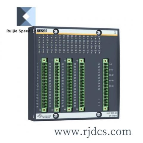 Bachmann DIO264 Digital I/O Module, Industry-Leading Performance and Reliability