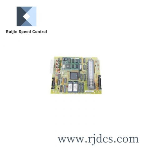 GE DS215SLCCG1AZZ01A Basic / Snap Action Switches SAFETY