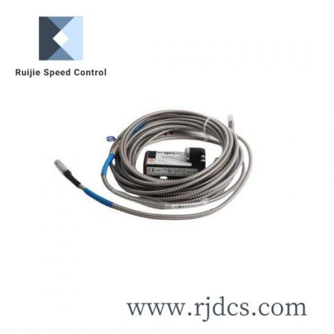 Emerson IC600LR648RRSeries 6 32K/16K Combined Memory