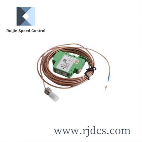 Emerson 1D42128G01 High-Performance Digital Signal Processor Module