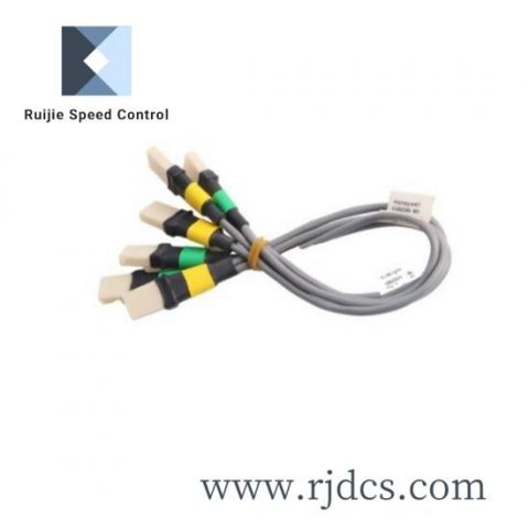 Honeywell FS-IOBUS-CPIO4, Advanced Control Automation Parts