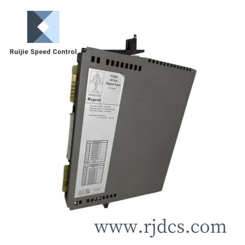 ICS Triplex T8461 Digital Output Module