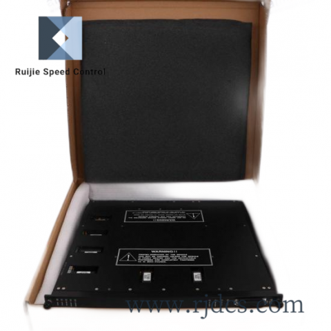 TRICONEX A03B-0819-C060 High Performance I/O Module