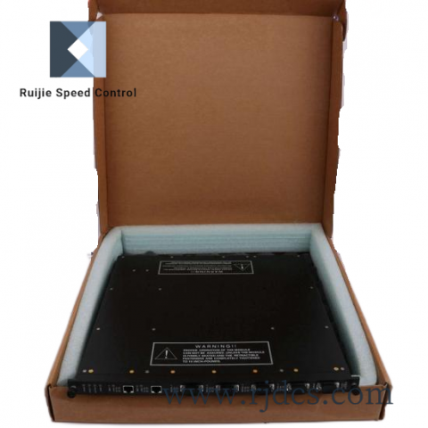 TRICONEX 9761-410 Control Module for Industrial Automation