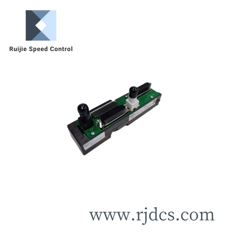 kj4001x1-na1_12p3373x012_emerson_dual_right_extender-1.jpeg EMERSON VE4005S2B4 Control Module