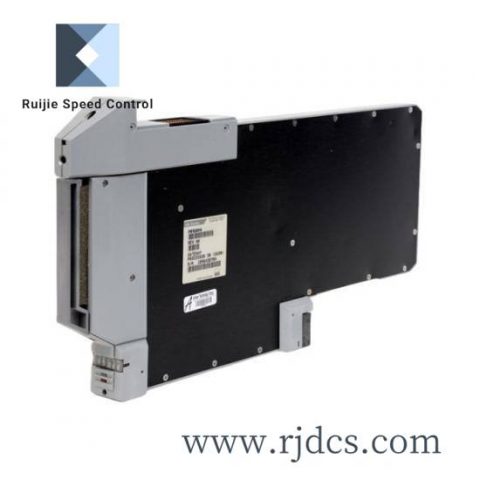 FOXBORO 202S-10 High-Performance Module for Industrial Automation