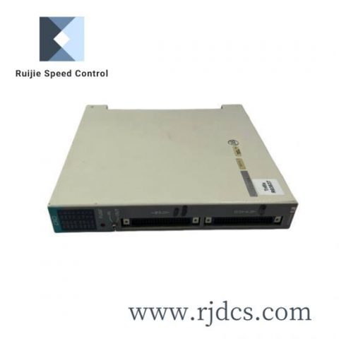 Reliance 0-49007-4 NSFP 0490074 Power Converter - Industrial Grade Module