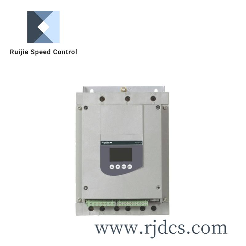 Schneider AS-B243-110 Digital Input Module for Industrial Automation