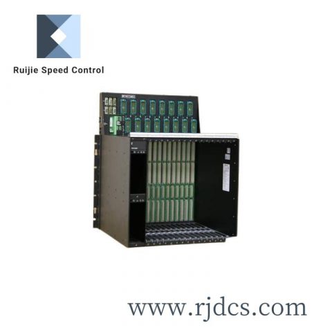 TRICONEX DO2401 Displacement Transmitter Dual Lever for Industrial Control