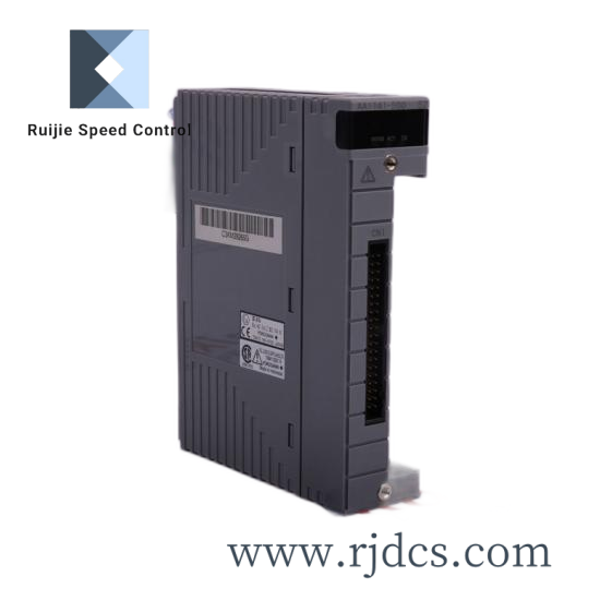 yokogawa_0950-3017_ps605-0101_dcs_module_1.png Yokogawa AER4D-05 Terminal Board for Resistance Temperature Detectors - 16-Channel Dual Redundant Module