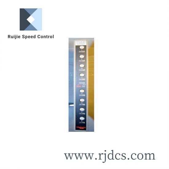 ics_triplex_t9451_3.jpg ICS TRIPLEX T9451 - Customized High-Frequency Power Supply Module