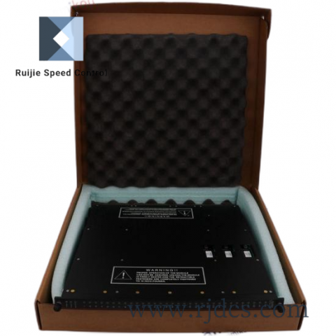 TRICONEX 9562-810 Control Module