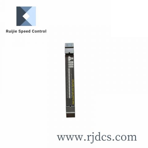 ICS TRIPLEX T8461C Industrial Control Module