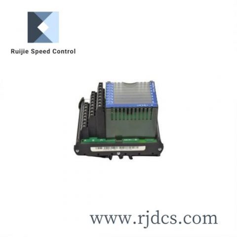 FOXBORO P0800DV Control Module for Industrial Automation Systems