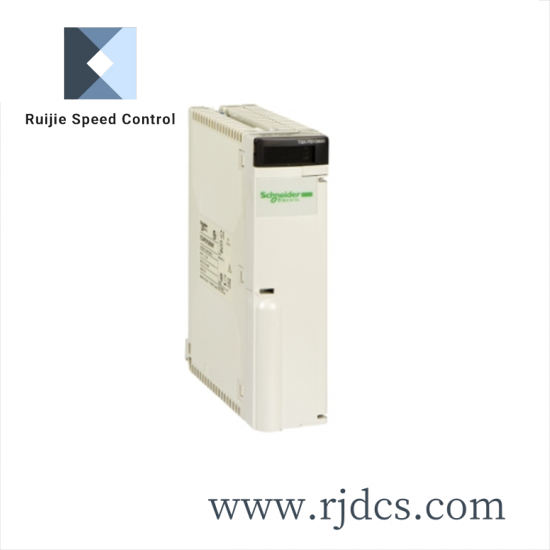 schneider_as-bdep-218.png SCHNEIDER AS-BDEP-218 Industrial Control Module