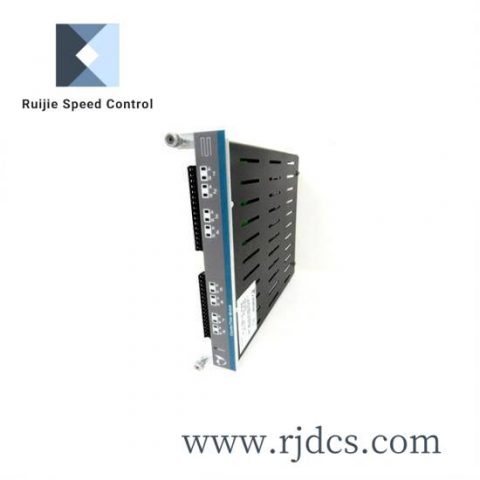 METSO D100308 Module Expansion, High Precision Control Module for Industrial Automation